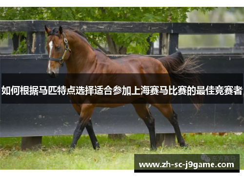 如何根据马匹特点选择适合参加上海赛马比赛的最佳竞赛者