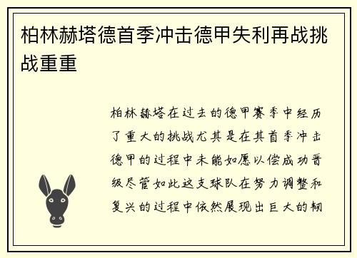 柏林赫塔德首季冲击德甲失利再战挑战重重